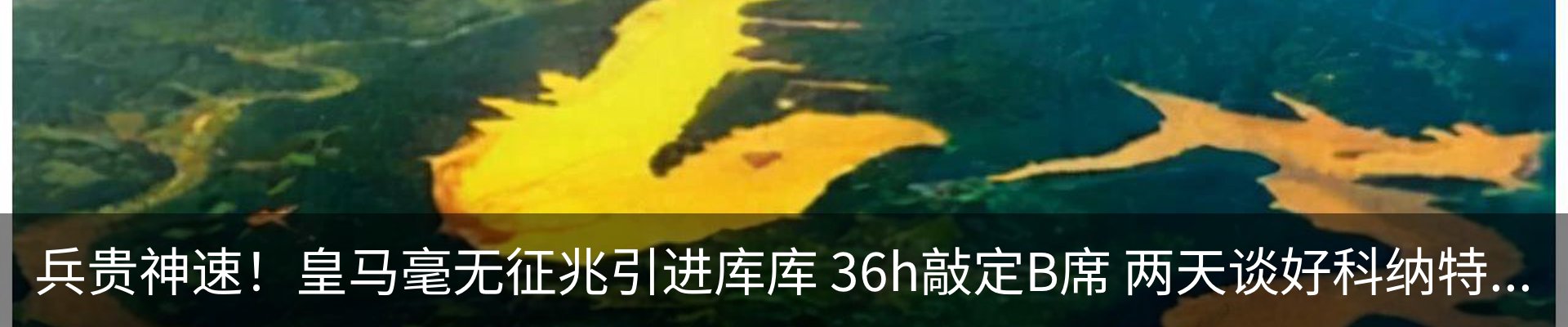 行业资讯